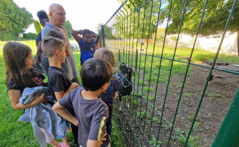 BoscoKids 8-11 ans